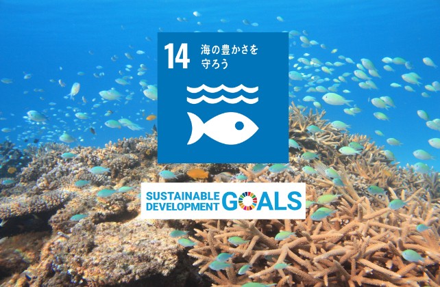 「14 海の豊かさを守ろう」SDGsパートナーロゴ