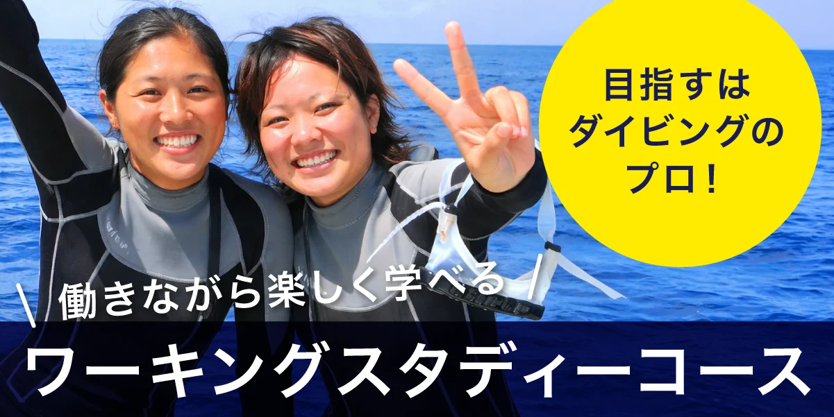 ワーキングスタディーコースのバナー