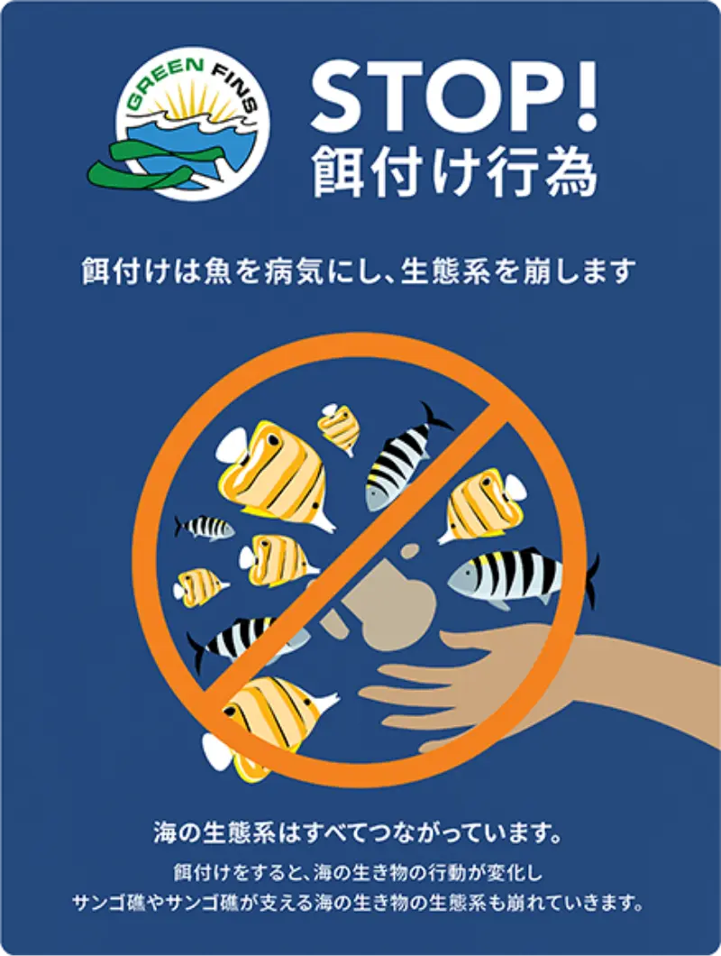 餌付けをしないイラスト