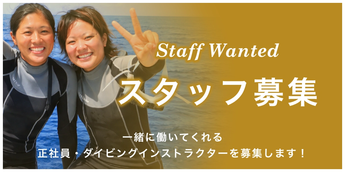 スタッフ募集のリンクバナー